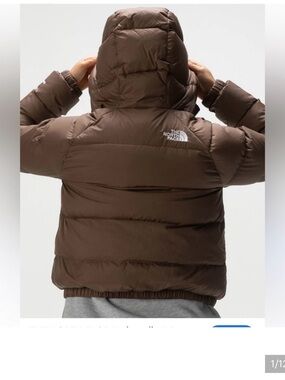 The North Face Woman’s Chocolate Nuptse 700 Puffer Jacket
